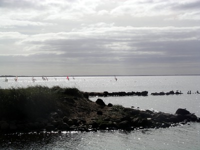 The beach with some surfers