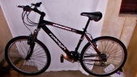 DSCN1009.JPG