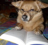 Billy.jpg (96.7 KiB) Viewed 41454 times Smart Billy